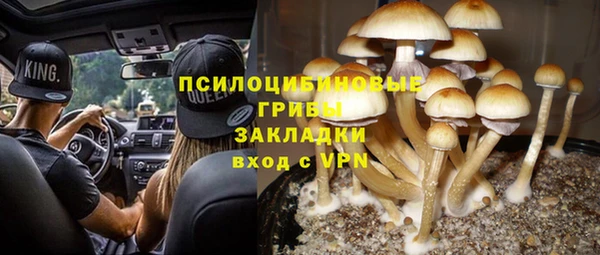 шишки Волоколамск