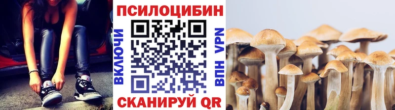 Купить Струнино Псилоцибиновые грибы GOLDEN TEACHER